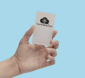 一款手持卡片VI展示样机