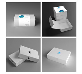 纸盒包装展示样机