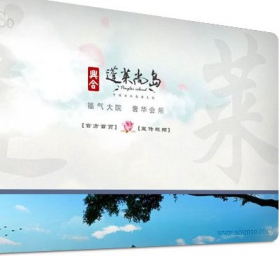 安仁蓬莱尚岛网站设计