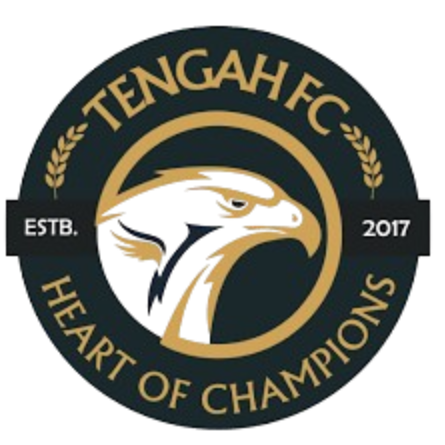 登加FC